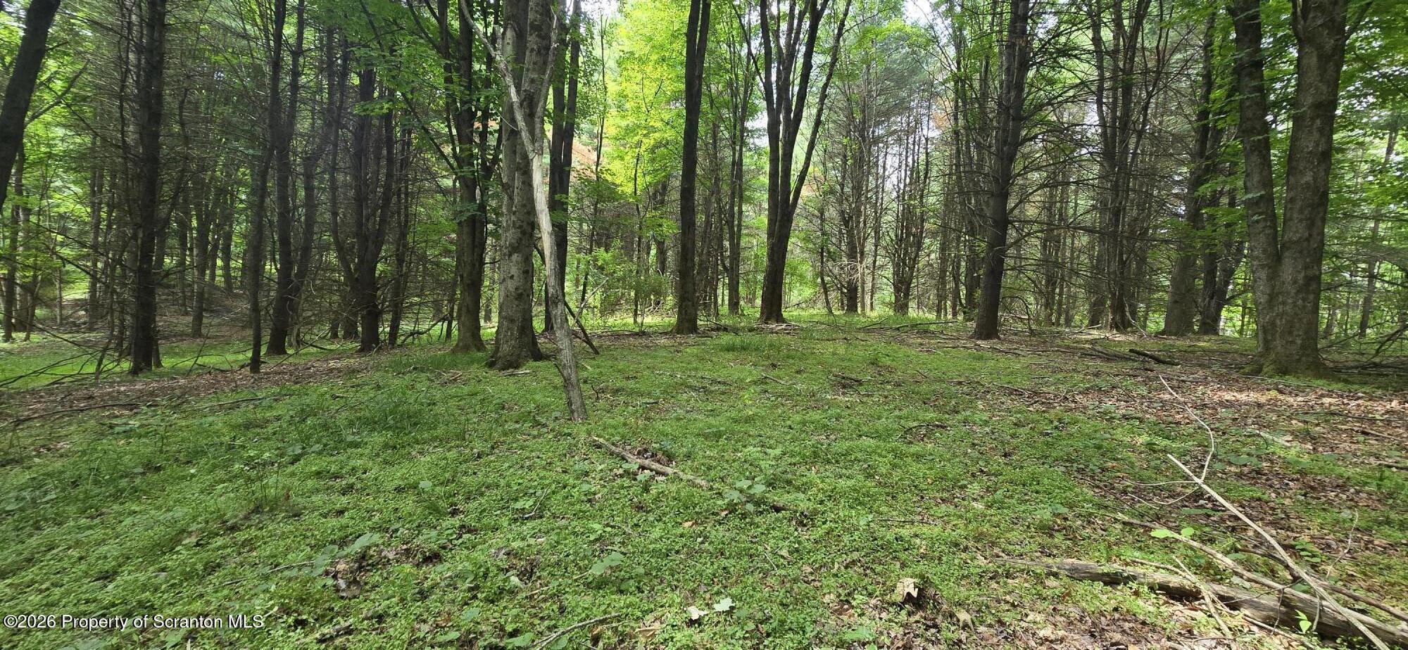 Limoli Road Wyalusing, PA 18853 - Photo 12 of 23 20260630_113217