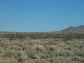 Mabel Road Golden Valley, AZ 86413 - Photo 5 of 5 Additional Photo