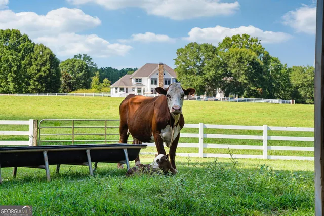 $3,699,000 | 956 Al Roberts Road, Senoia, GA 30276