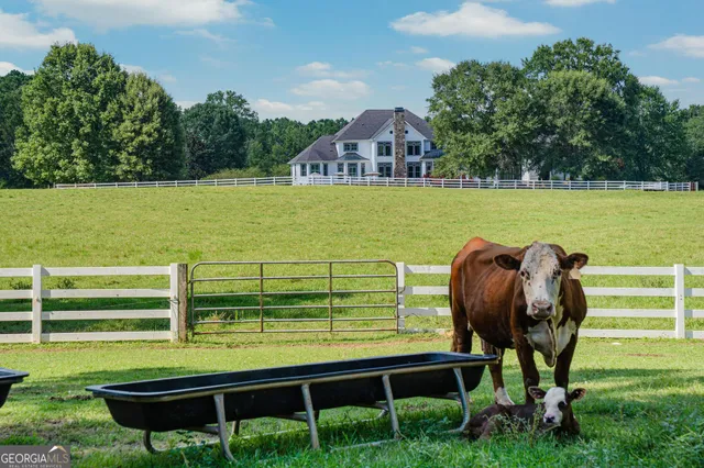 $3,699,000 | 956 Al Roberts Road, Senoia, GA 30276