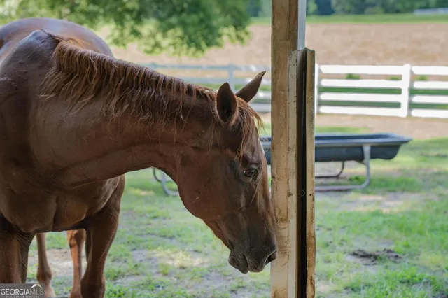 $3,699,000 | 956 Al Roberts Road, Senoia, GA 30276