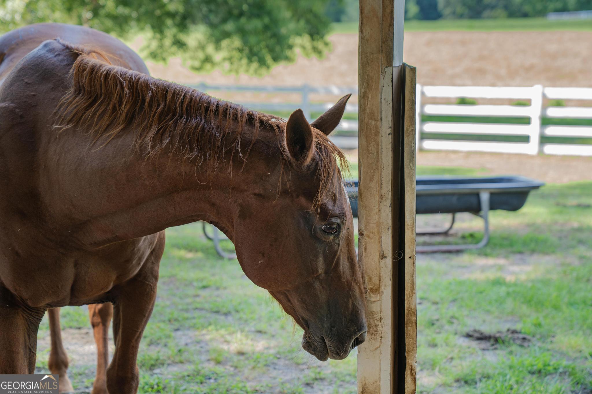 956 Al Roberts Road, Unit A Senoia, GA 30276 - Photo 122 of 132