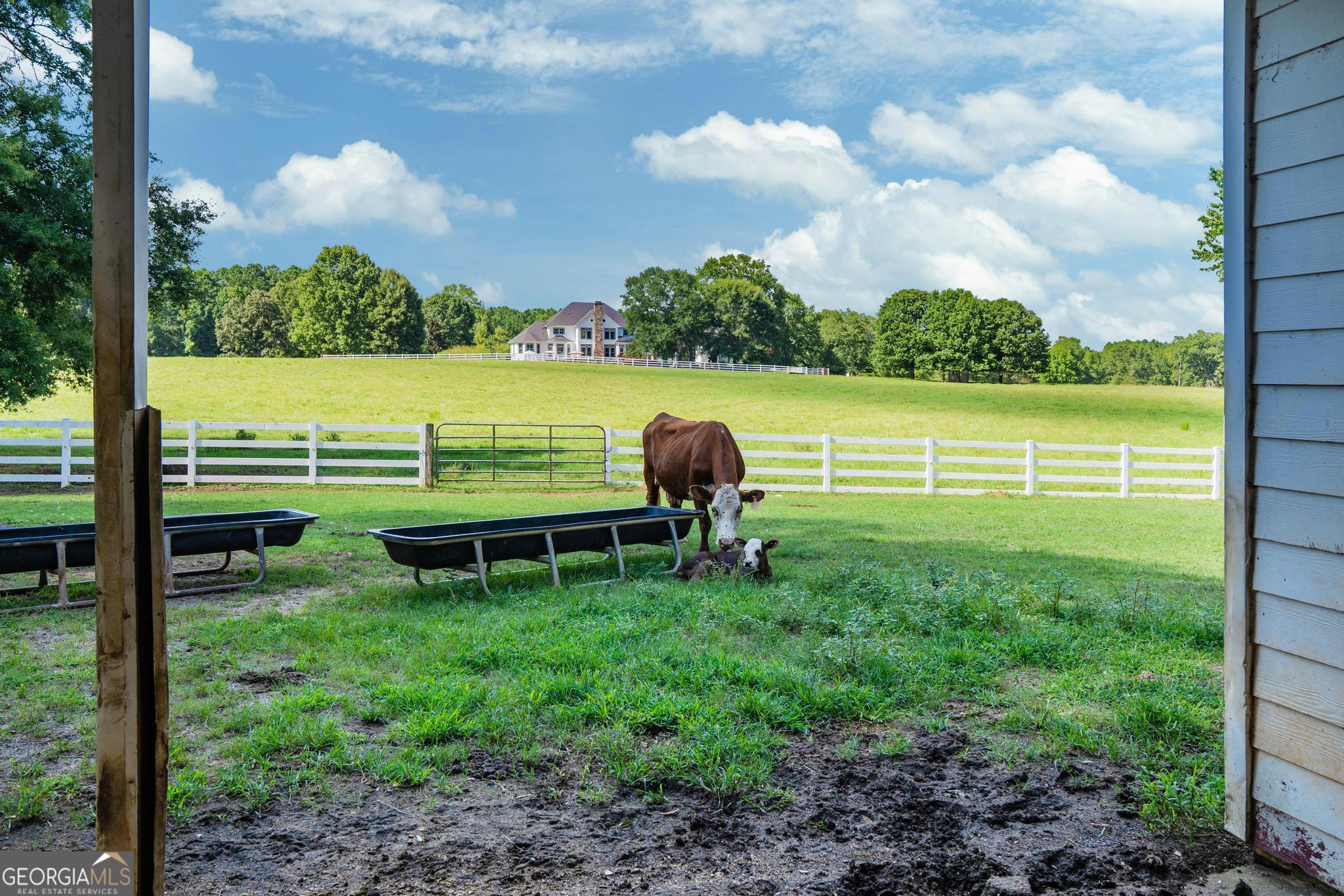 956 Al Roberts Road, Unit A Senoia, GA 30276 - Photo 123 of 132