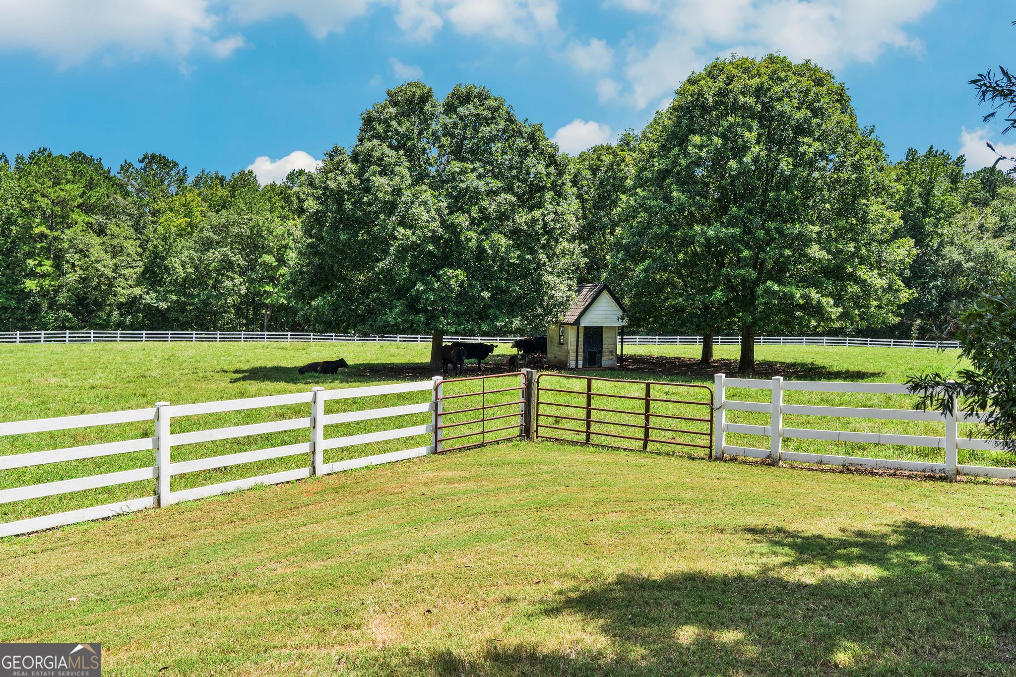 956 Al Roberts Road, Unit A Senoia, GA 30276 - Photo 10 of 132