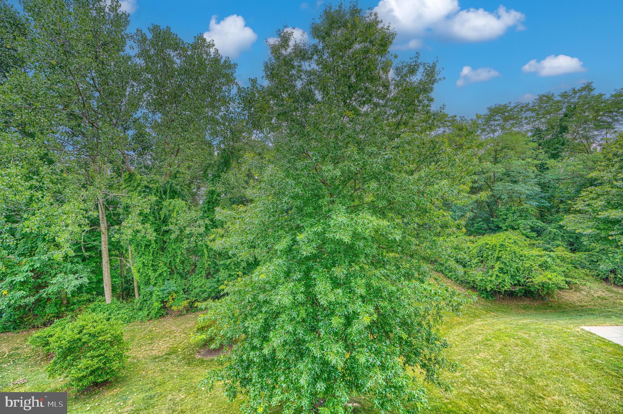 8235 Poplar Mill Road, Unit 8235 Nottingham, MD 21236 - Photo 39 of 39