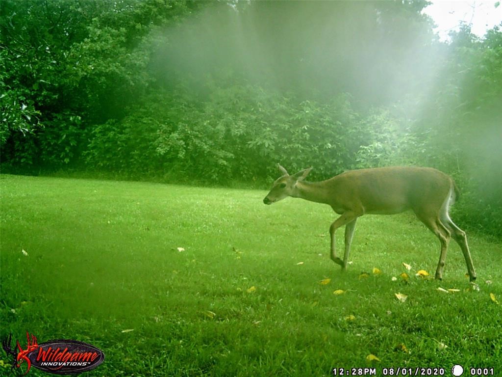 6911 Sprigg Street Fulshear, TX 77441 - Photo 46 of 48