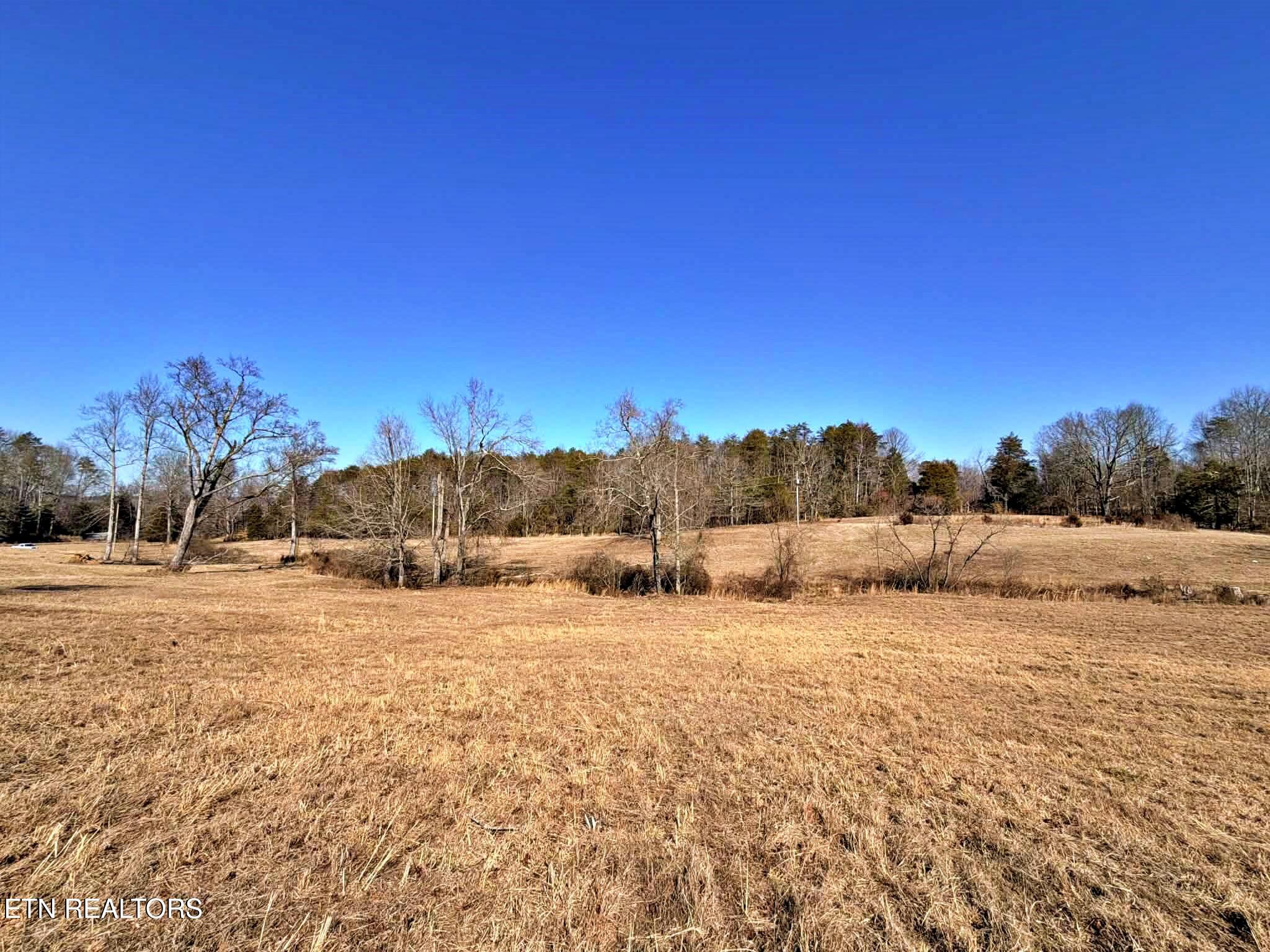 1678 Ward Road Decatur, TN 37322 - Photo 11 of 20 bc5ed685-152b-45ae-b768-a2e4359b73ef