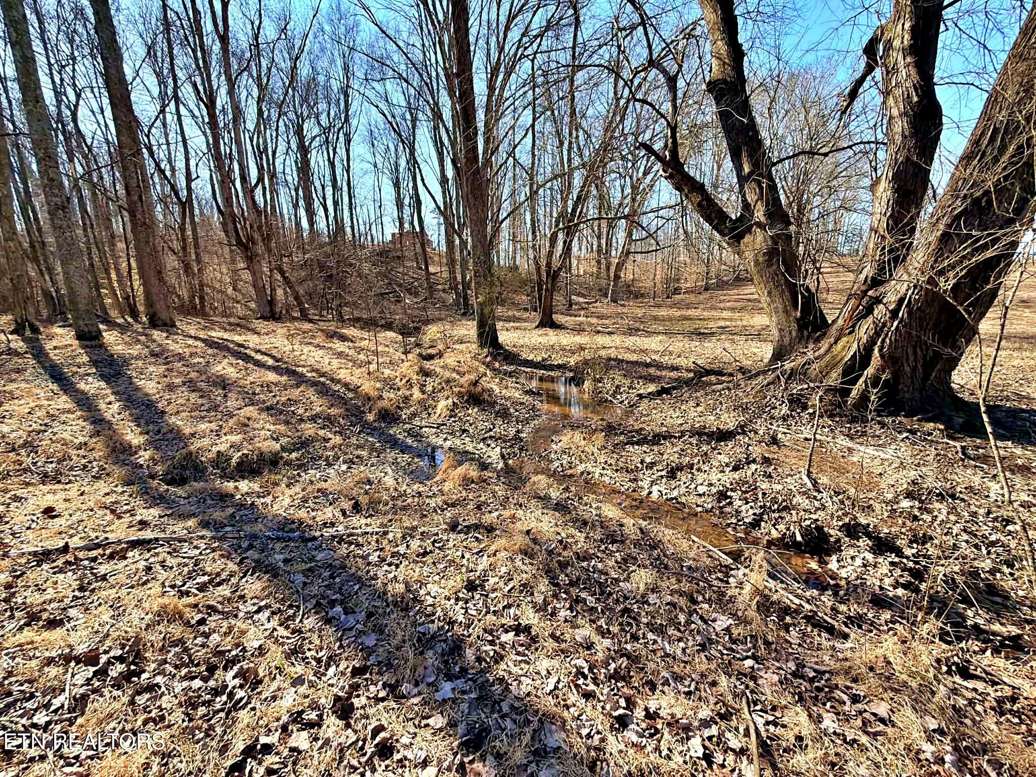 1678 Ward Road Decatur, TN 37322 - Photo 16 of 20 ad9b01de-eec3-40bb-b1f3-086187103f26