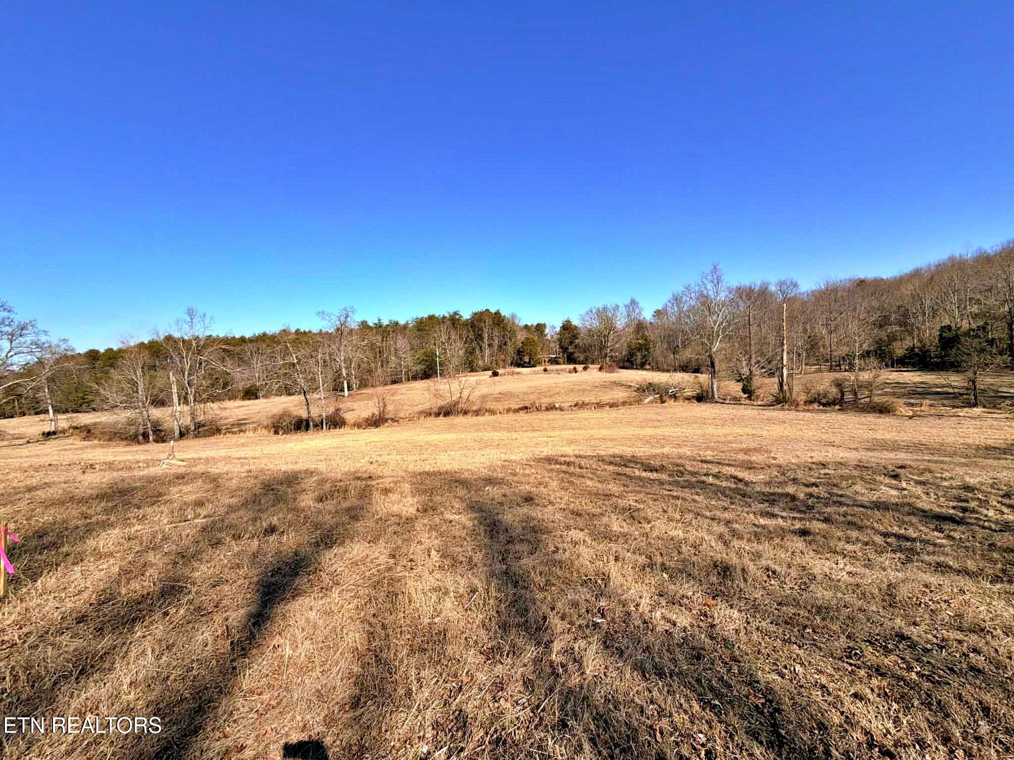 1678 Ward Road Decatur, TN 37322 - Photo 17 of 20 cb6788c9-8594-4f5b-b85e-7a67f83329ce