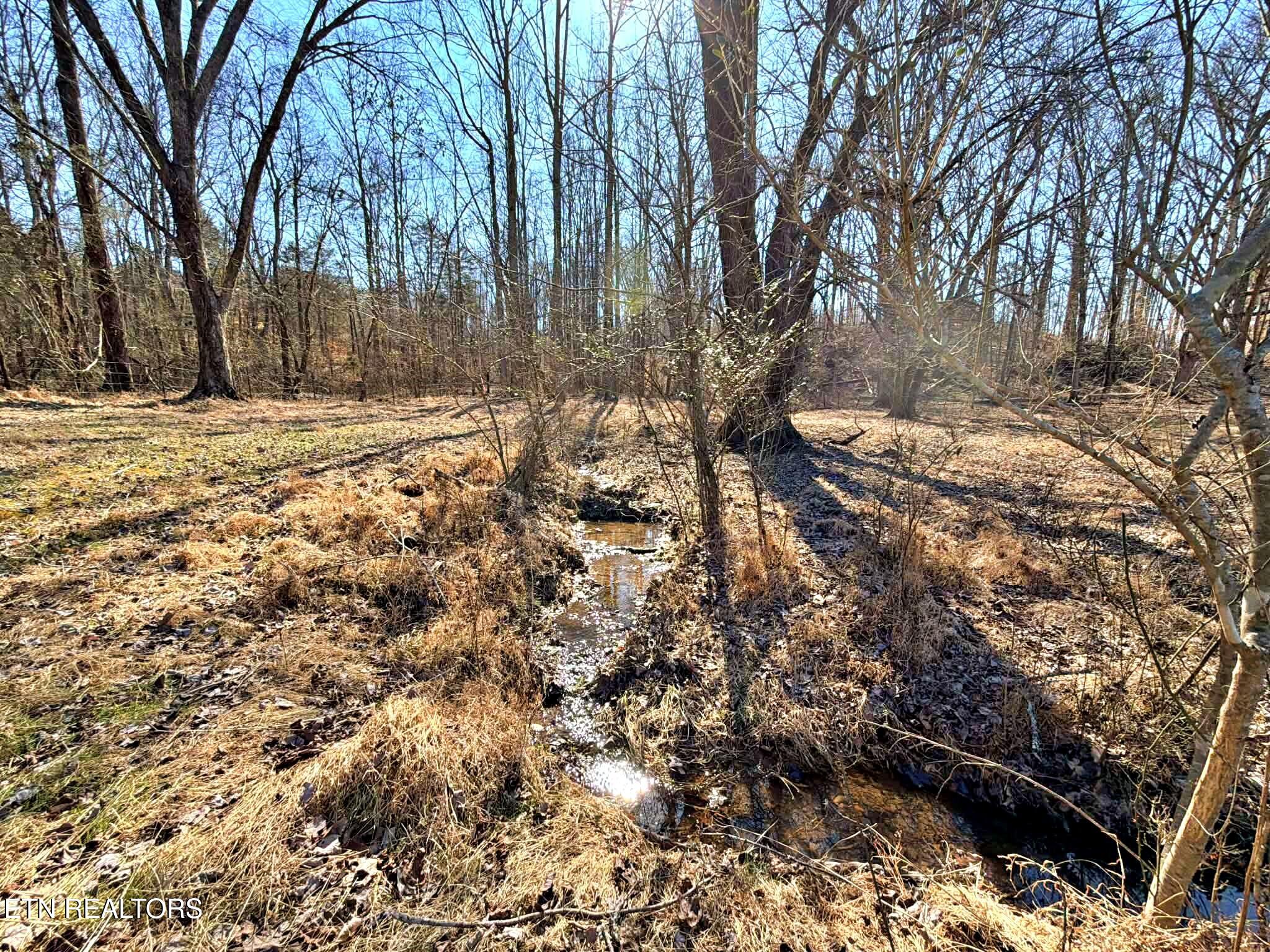 1678 Ward Road Decatur, TN 37322 - Photo 18 of 20 ce45ef96-0722-4bdf-adc0-89fda5cc2ef1