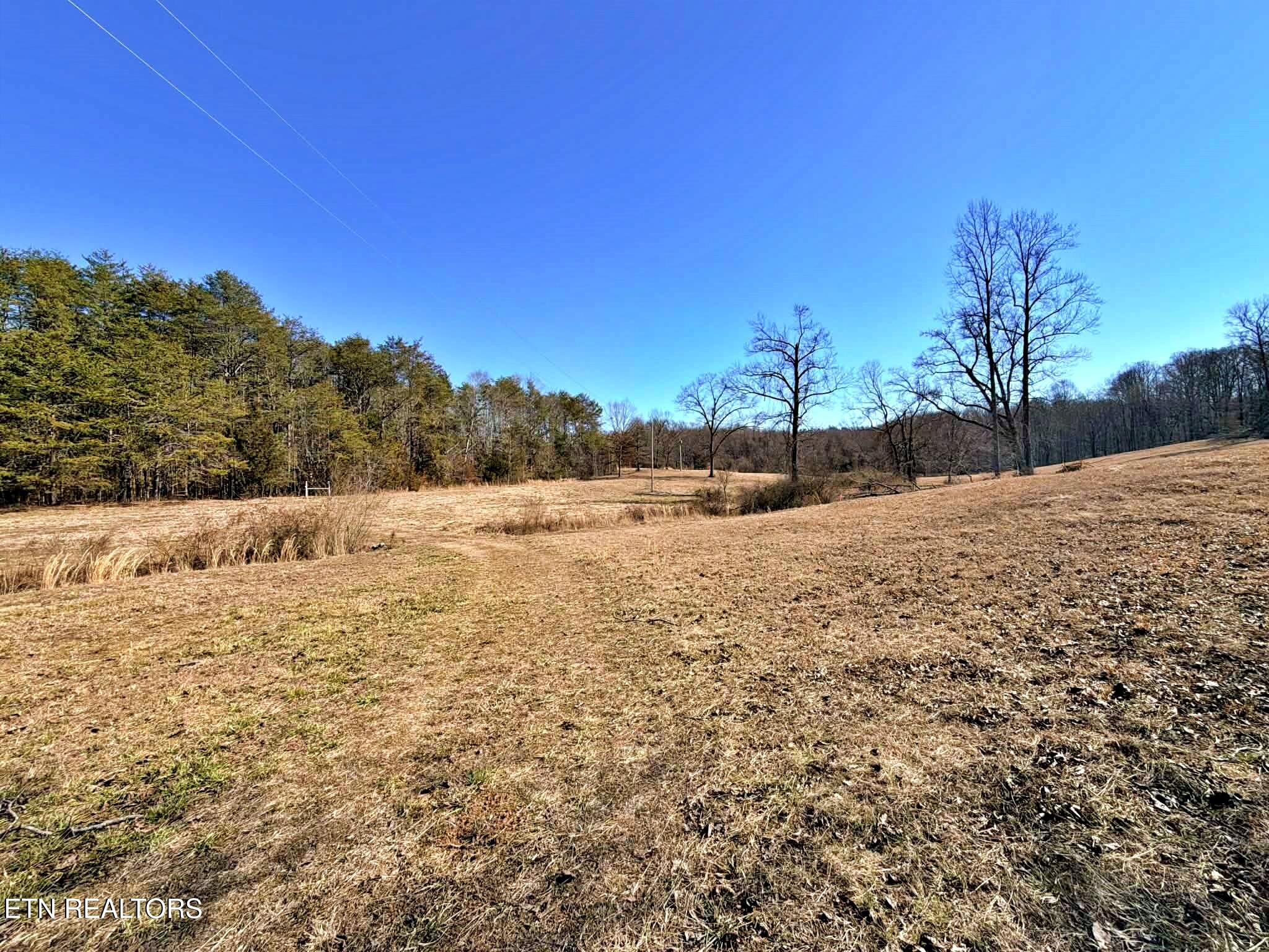 1678 Ward Road Decatur, TN 37322 - Photo 2 of 20 36c44852-67b2-48d7-ba67-829859babb55