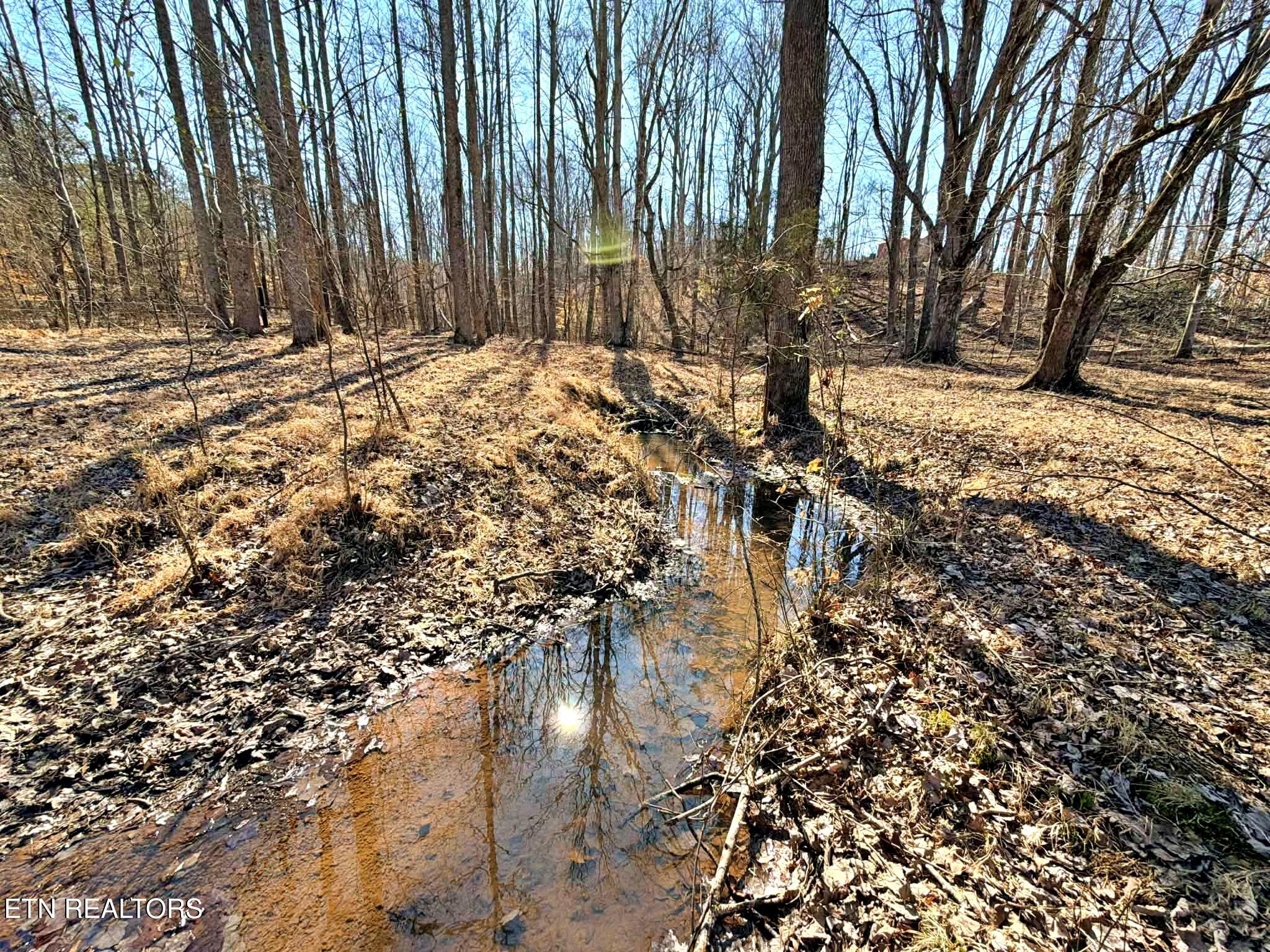 1678 Ward Road Decatur, TN 37322 - Photo 6 of 20 79c64f56-edc0-48e7-969a-61e4cd8a3f30