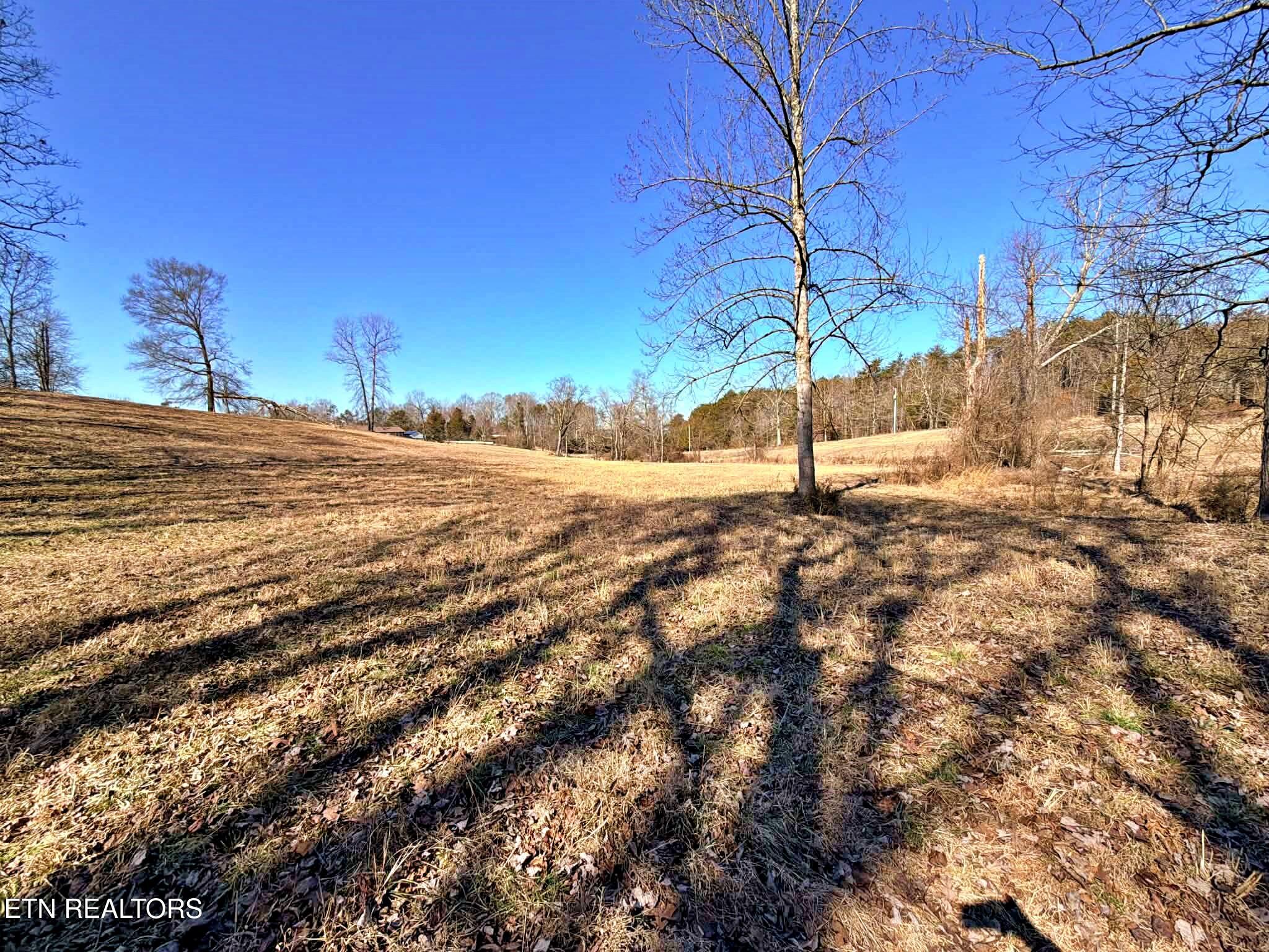 1678 Ward Road Decatur, TN 37322 - Photo 9 of 20 be837b9a-5851-4050-901d-c8c769b49f1e