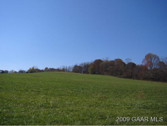 a view of a grassy field with an trees