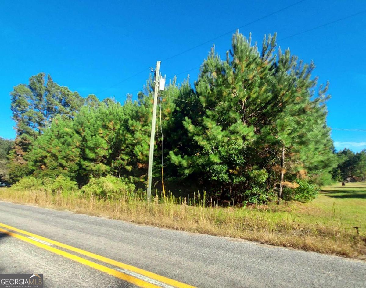 0 Mt Pleasant Road Clyo, GA 31303 - Photo 1 of 1 Gallery Image 1