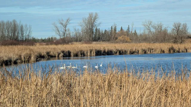 $289,900 | 610 Cleveland Avenue Southwest, McIntosh, MN 56556