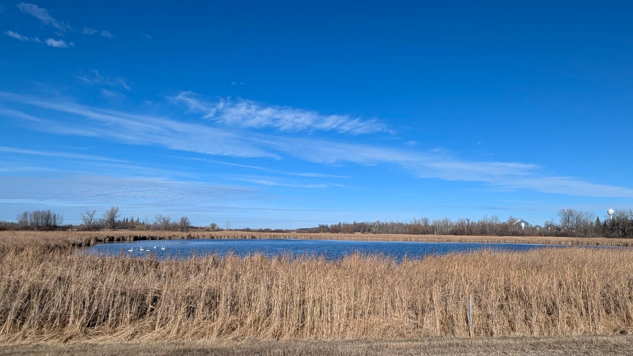 610 Cleveland Avenue Southwest McIntosh, MN 56556 - Photo 58 of 59
