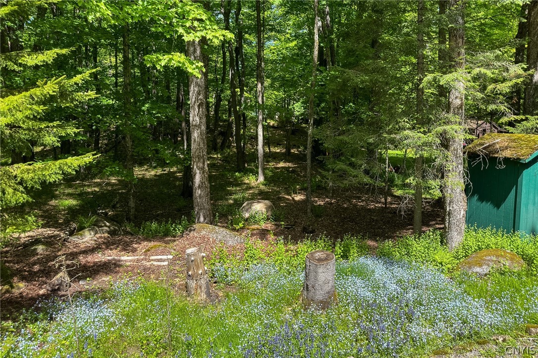 291 Joy Tract Road Webb, NY 13420 - Photo 18 of 24