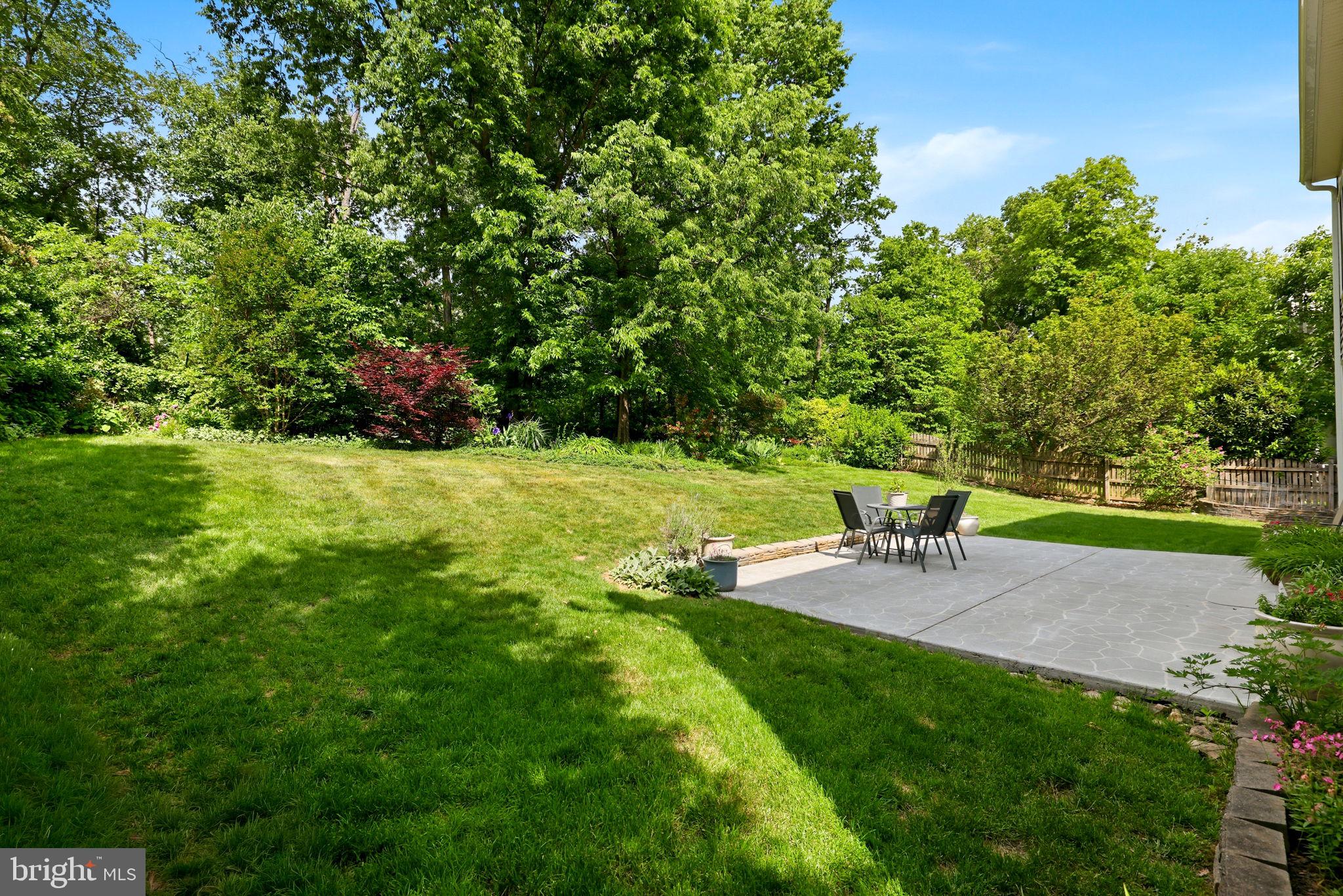 813 Duncan Place Southeast Leesburg, VA 20175 - Photo 78 of 90 Backyard View