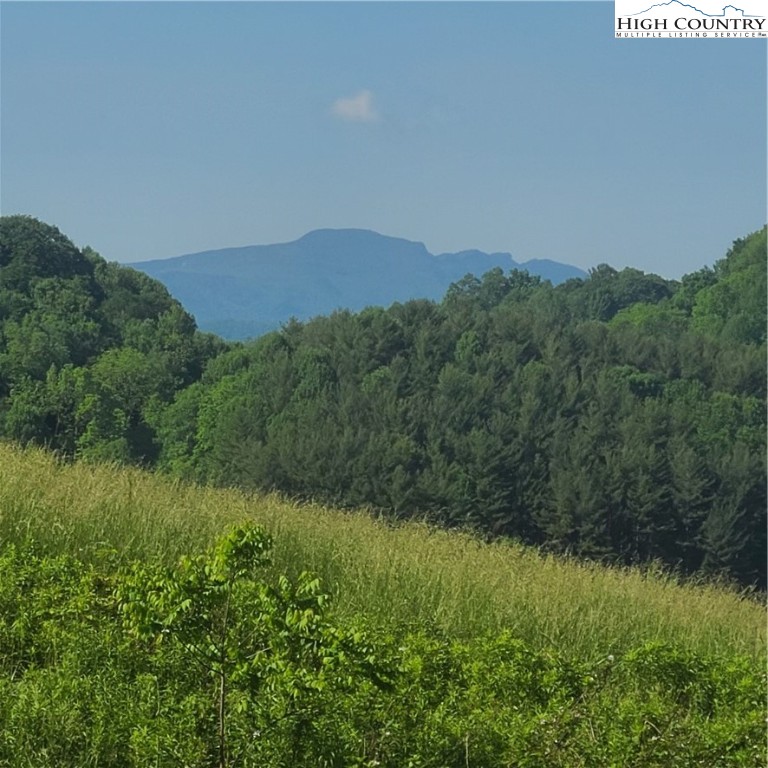 476 Will Perry Road Vilas, NC 28692 - Photo 1 of 41 Gallery Image 1