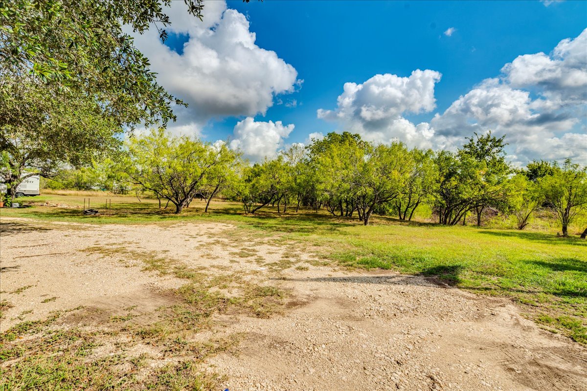 2411 Rohde Road Kyle, TX 78640 - Photo 33 of 40 Mature trees frame a spacious cleared clearing under vast open skies.