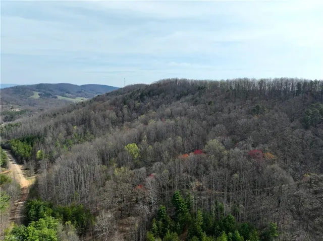 $1,385,800 | 0 Northeast Pine Street, Mount Airy, NC 27030