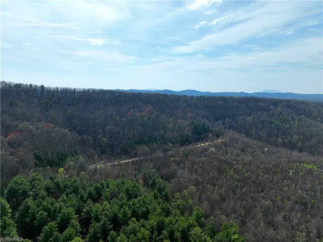 $1,385,800 | 0 Northeast Pine Street, Mount Airy, NC 27030