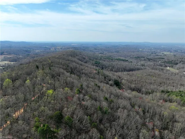 $1,385,800 | 0 Northeast Pine Street, Mount Airy, NC 27030