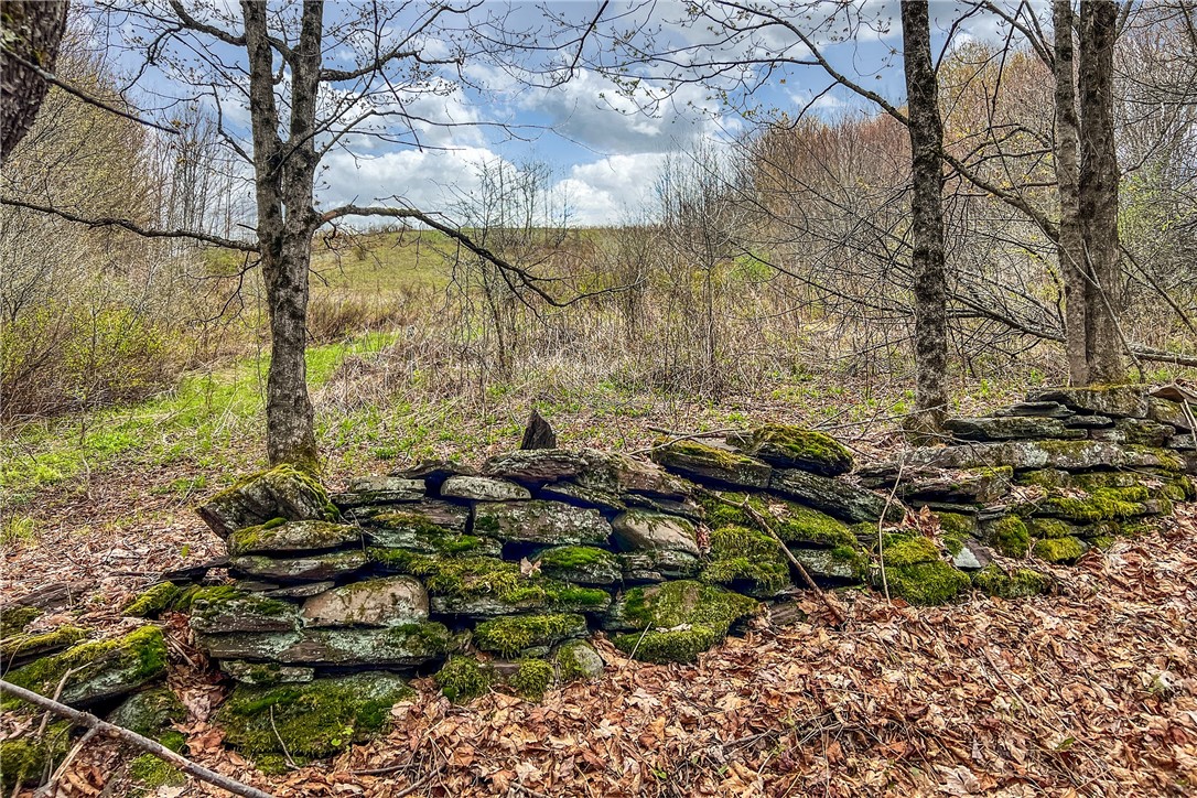 Lot 3 Brownell Road Bloomville, NY 13739 - Photo 21 of 35