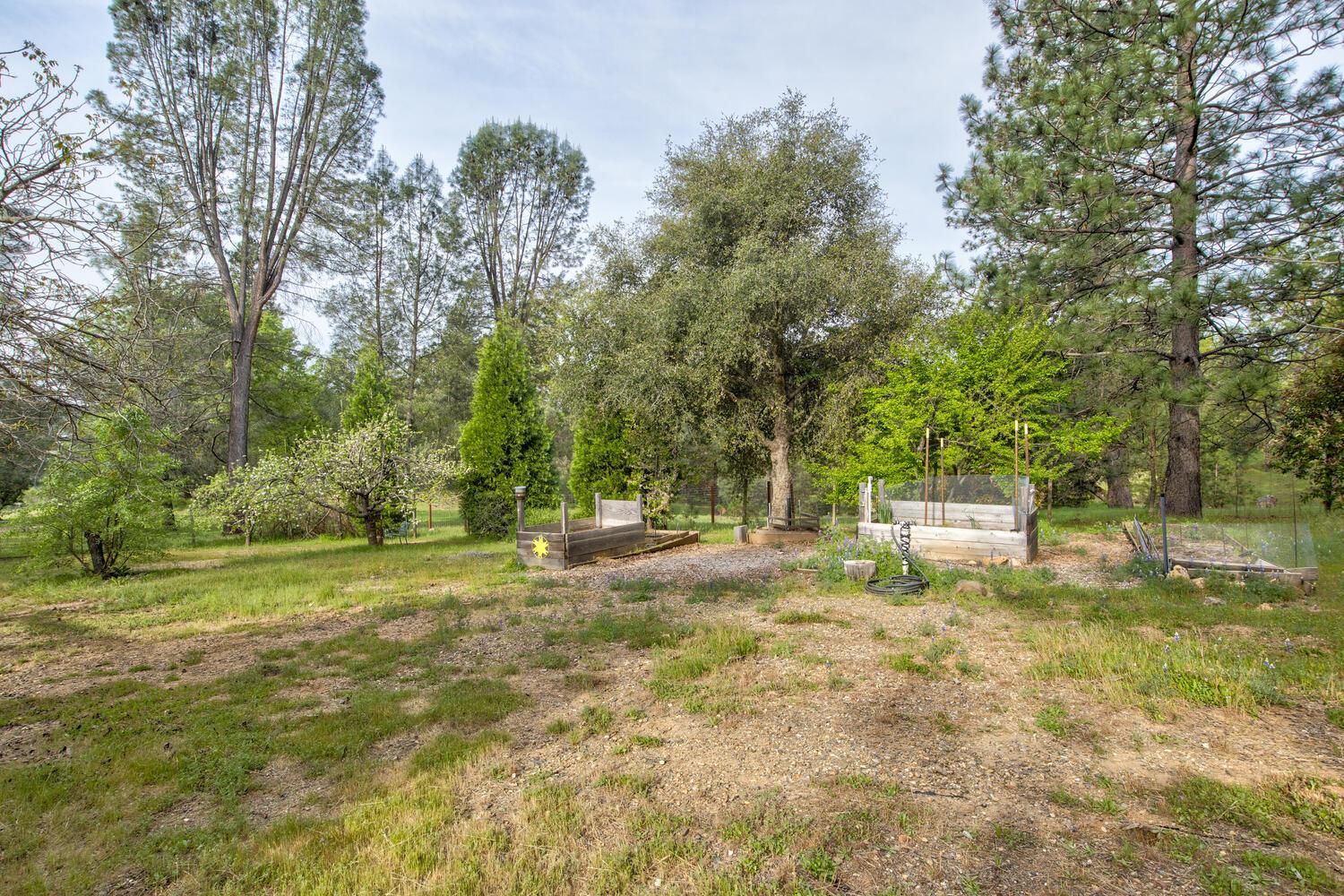 5196 Stagecoach Hill Road Mountain Ranch, CA 95246 - Photo 45 of 65