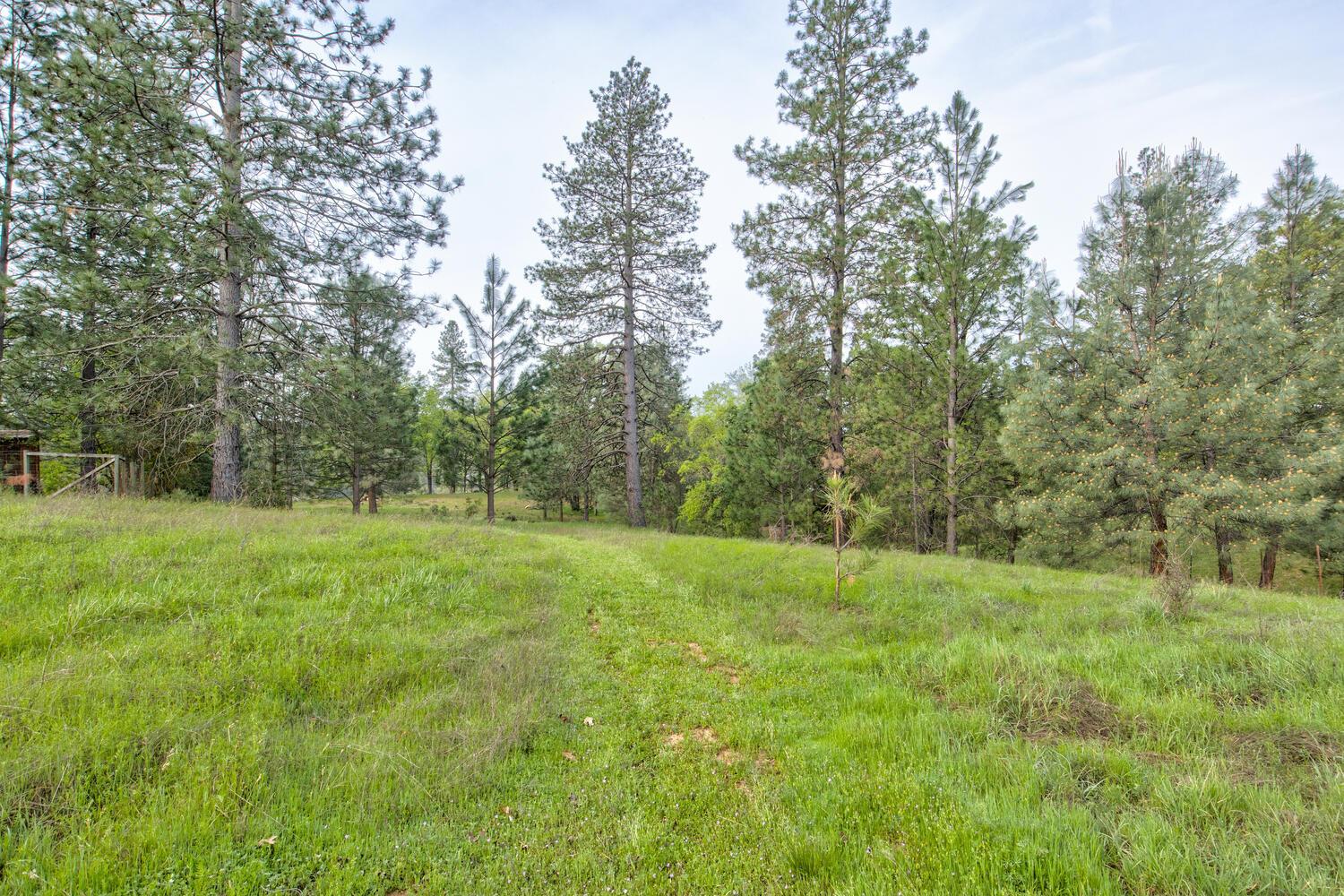 5196 Stagecoach Hill Road Mountain Ranch, CA 95246 - Photo 53 of 65