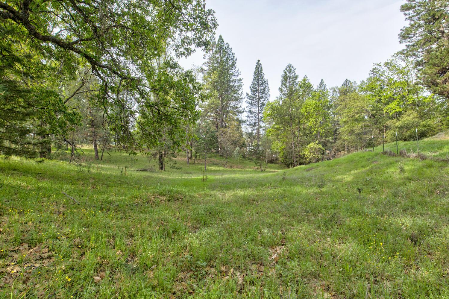 5196 Stagecoach Hill Road Mountain Ranch, CA 95246 - Photo 55 of 65