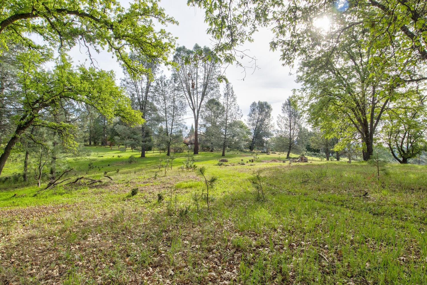 5196 Stagecoach Hill Road Mountain Ranch, CA 95246 - Photo 59 of 65