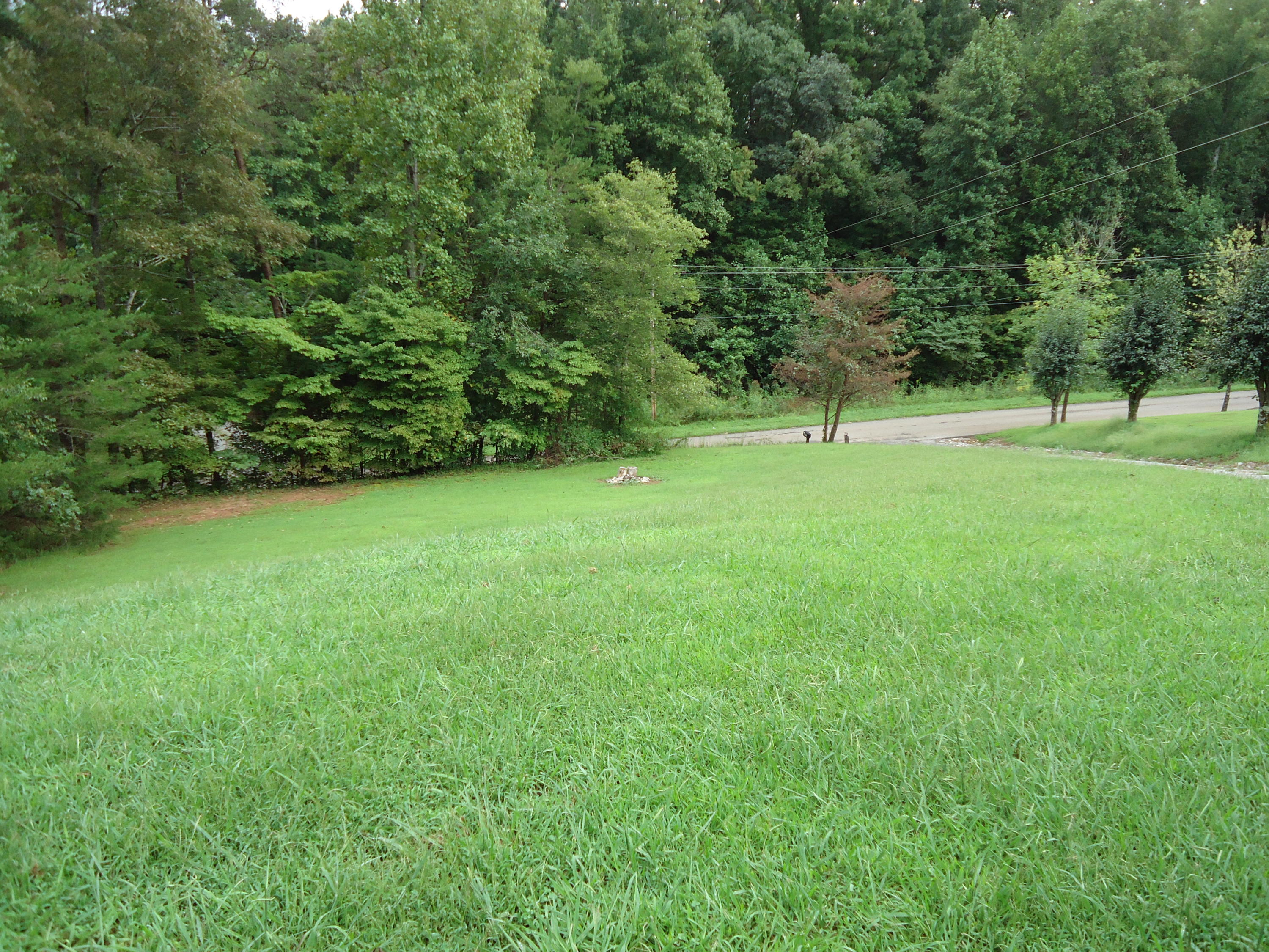 255 Scenic View Road Madisonville, TN 37354 - Photo 4 of 33 DSC06359