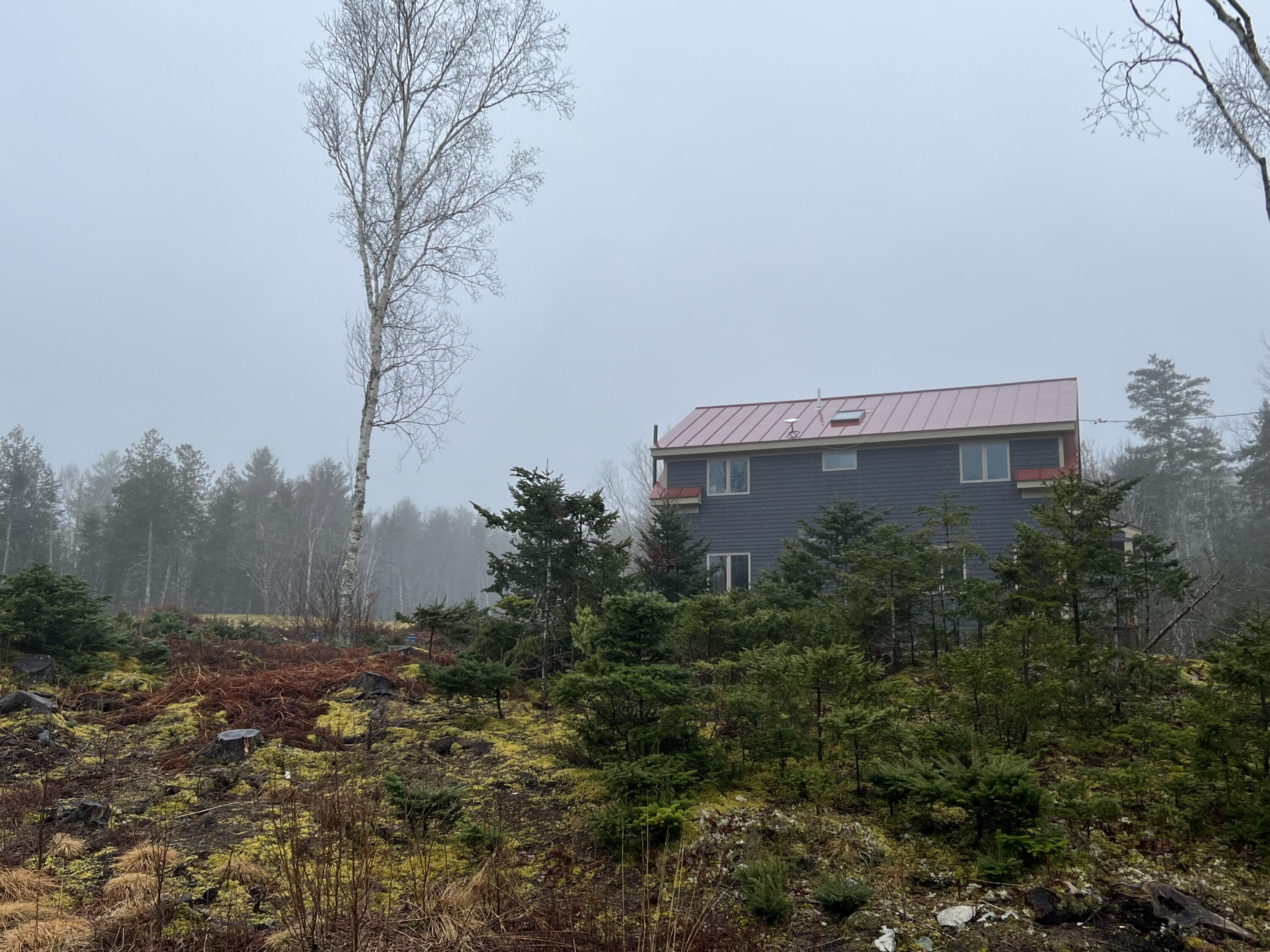 83 Dog Island Road Harborside, ME 04642 - Photo 2 of 30 IMG_4008
