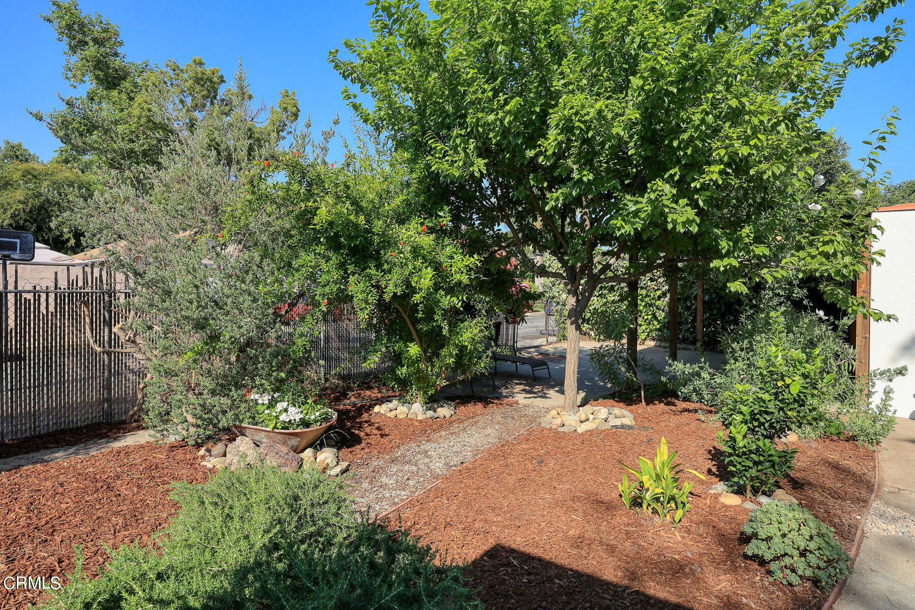 2864 Sterling Place Altadena, CA 91001 - Photo 23 of 28 a view of backyard with outdoor and green space