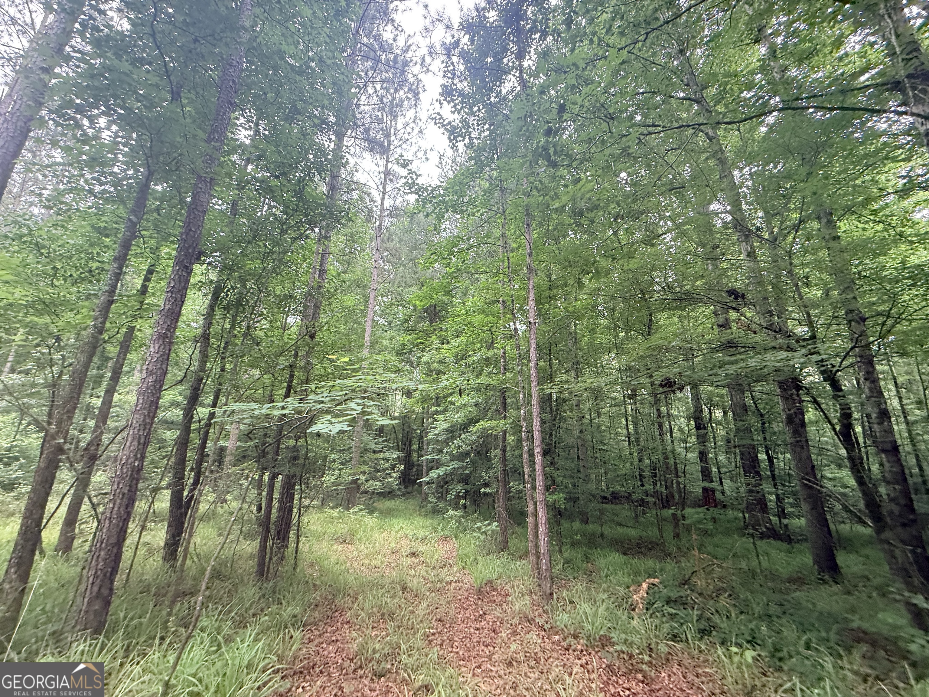 3 Bethesda Church Road Lexington, GA 30648 - Photo 19 of 60