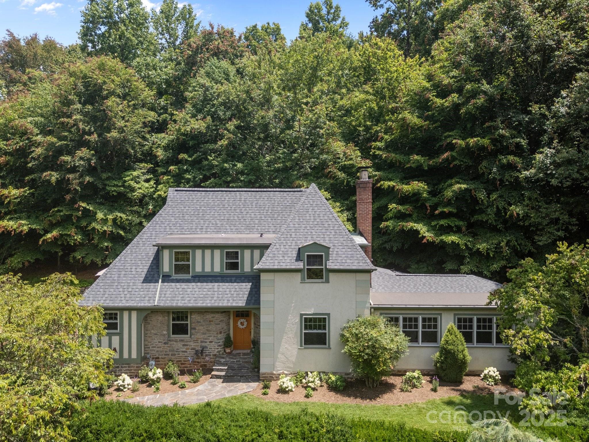 12 Rice Branch Road Asheville, NC 28804 - Photo 3 of 48 Gallery Image 3