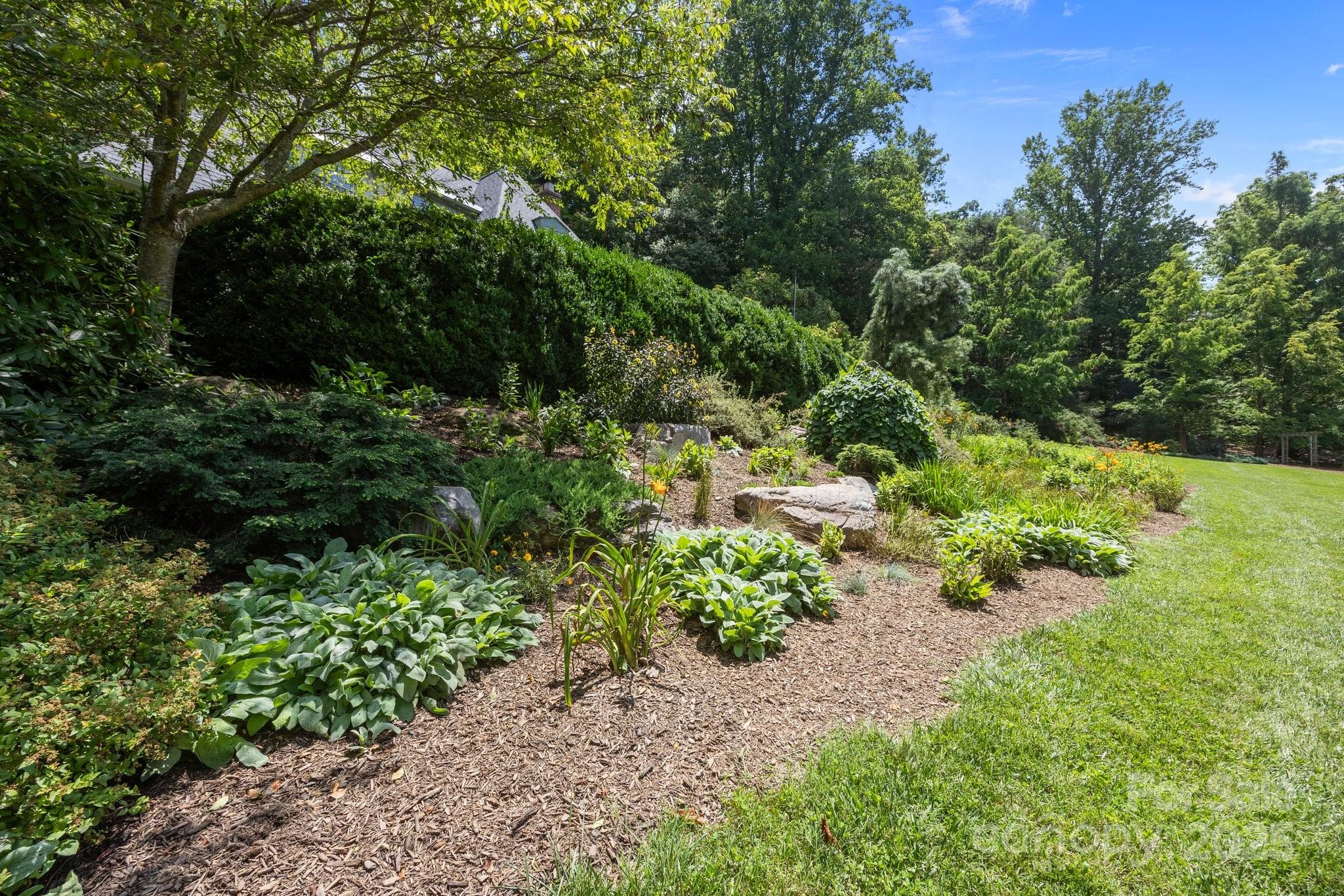 12 Rice Branch Road Asheville, NC 28804 - Photo 9 of 48 Gallery Image 9