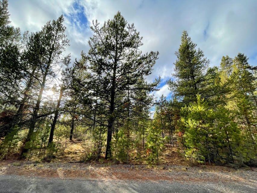 56031 Savage Road Bend, OR 97707 - Photo 5 of 10 12734