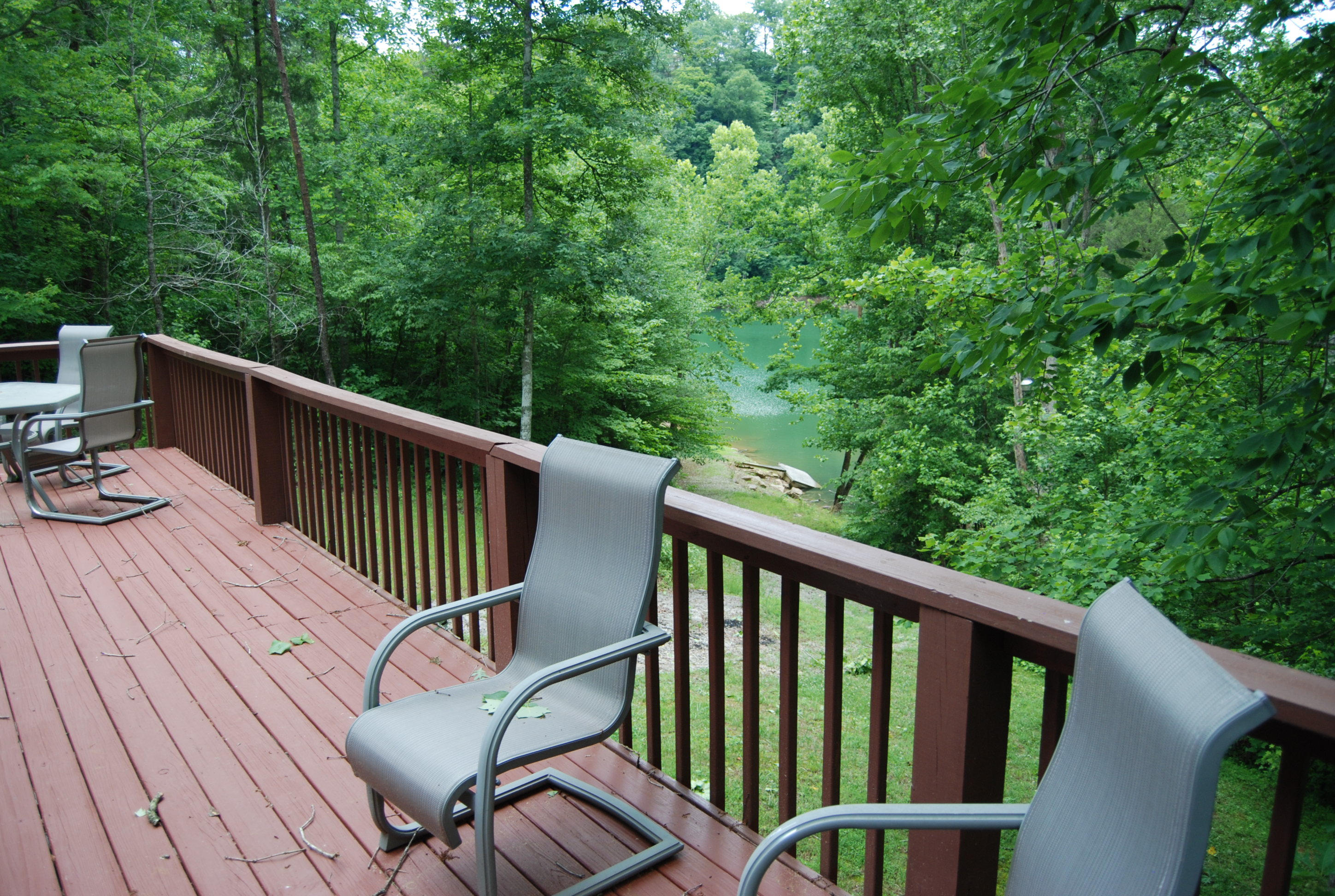 700 Black Fox Harbor Road Washburn, TN 37888 - Photo 30 of 31 DSC_0421
