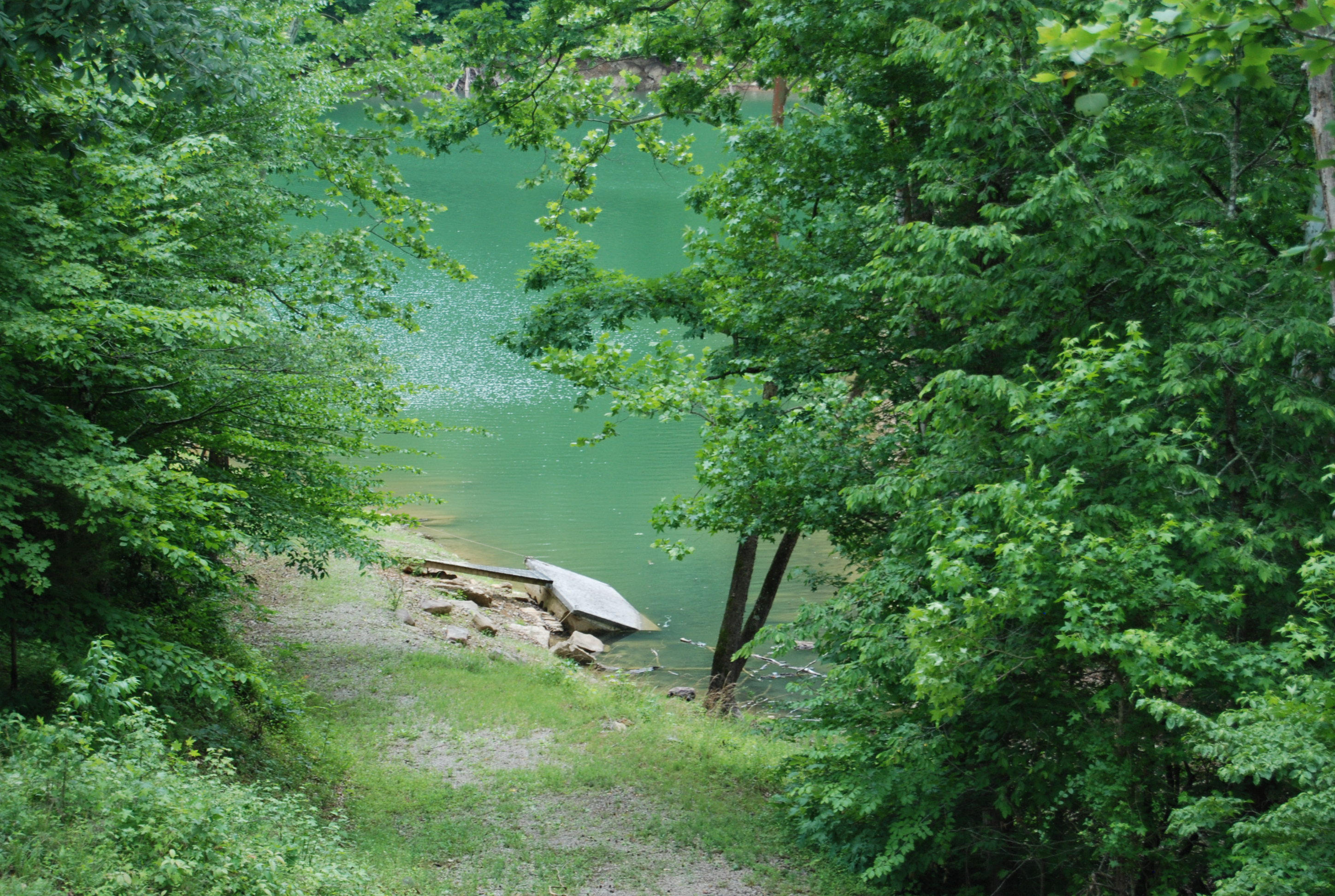 700 Black Fox Harbor Road Washburn, TN 37888 - Photo 31 of 31 DSC_0422