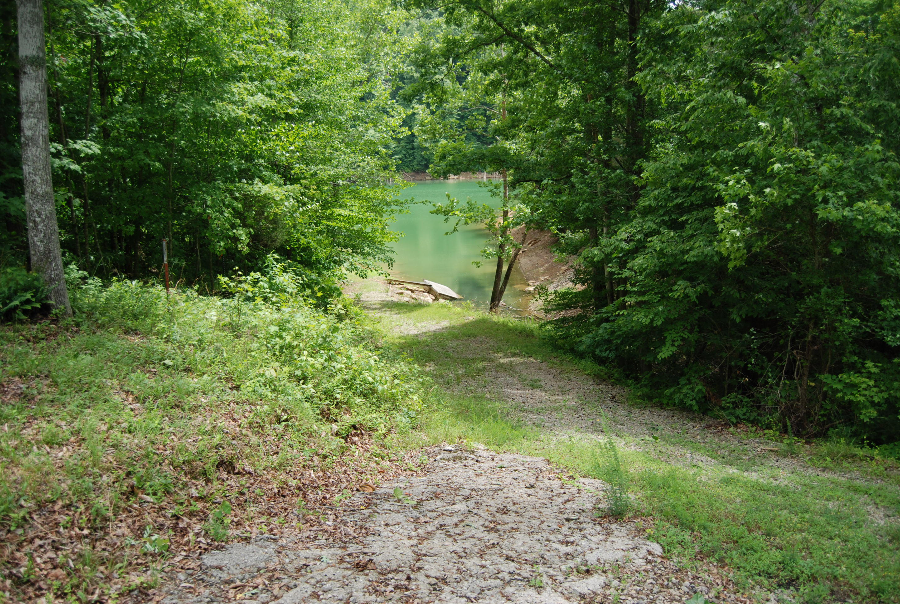 700 Black Fox Harbor Road Washburn, TN 37888 - Photo 6 of 31 DSC_0395