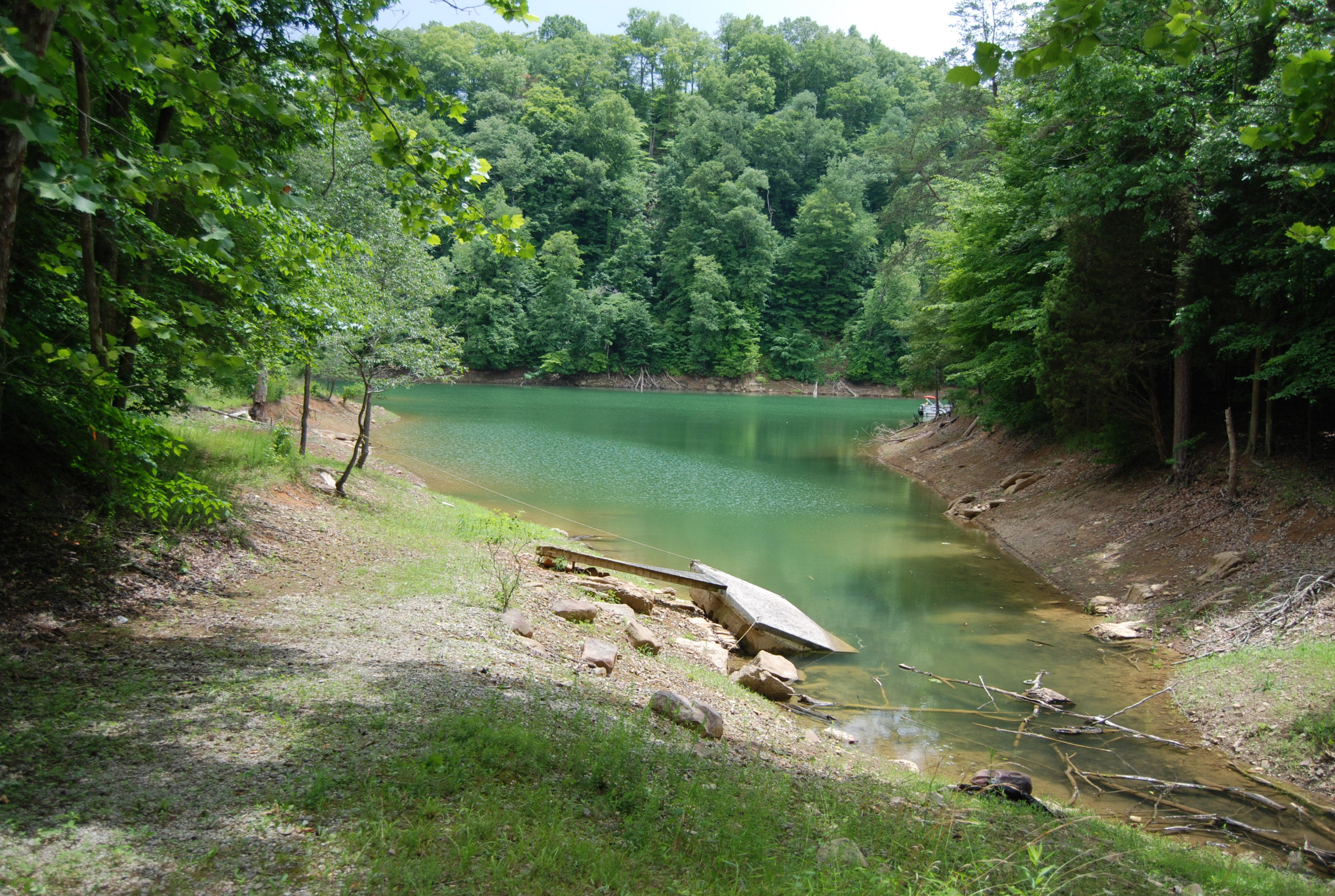 700 Black Fox Harbor Road Washburn, TN 37888 - Photo 7 of 31 DSC_0396