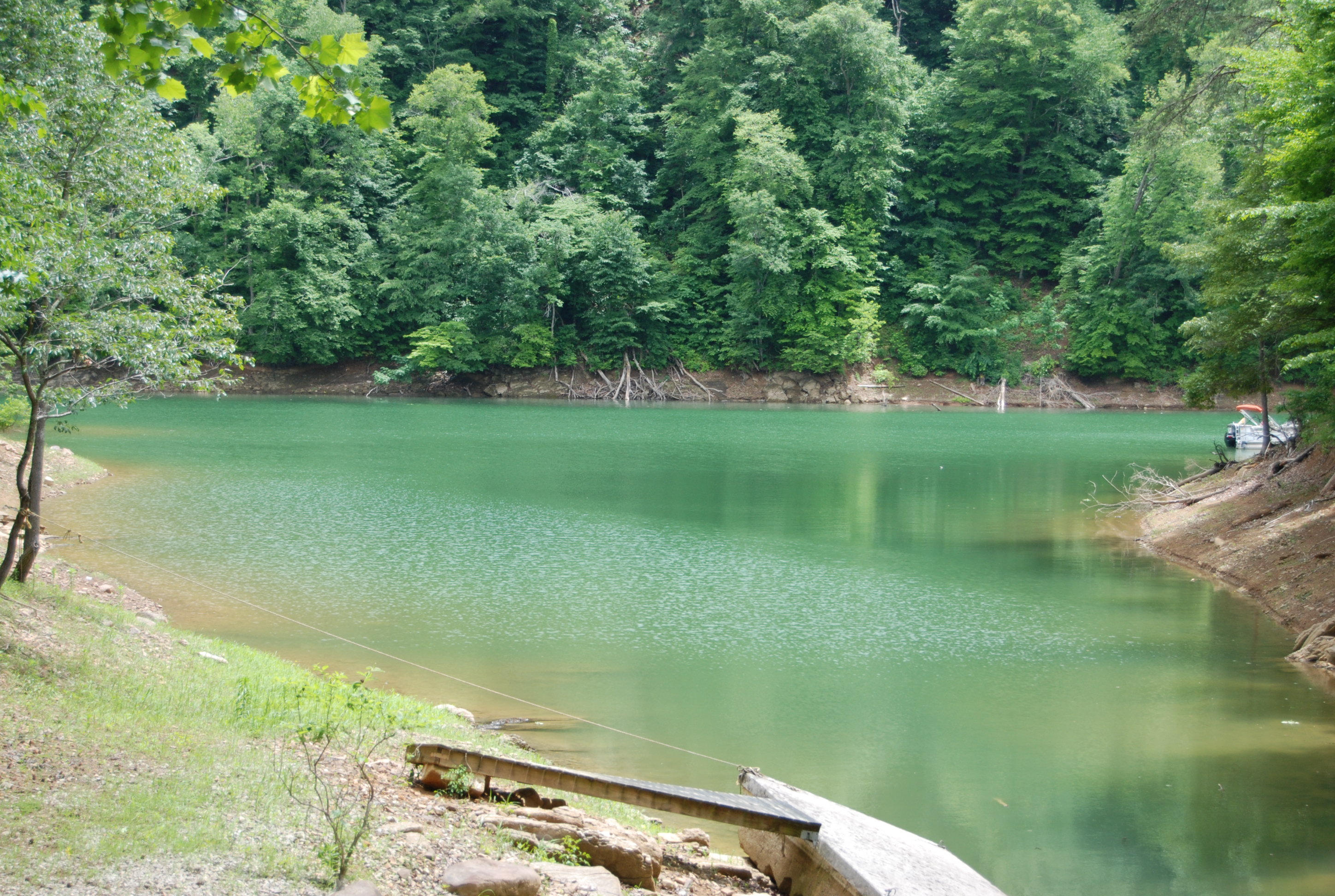 700 Black Fox Harbor Road Washburn, TN 37888 - Photo 8 of 31 DSC_0397