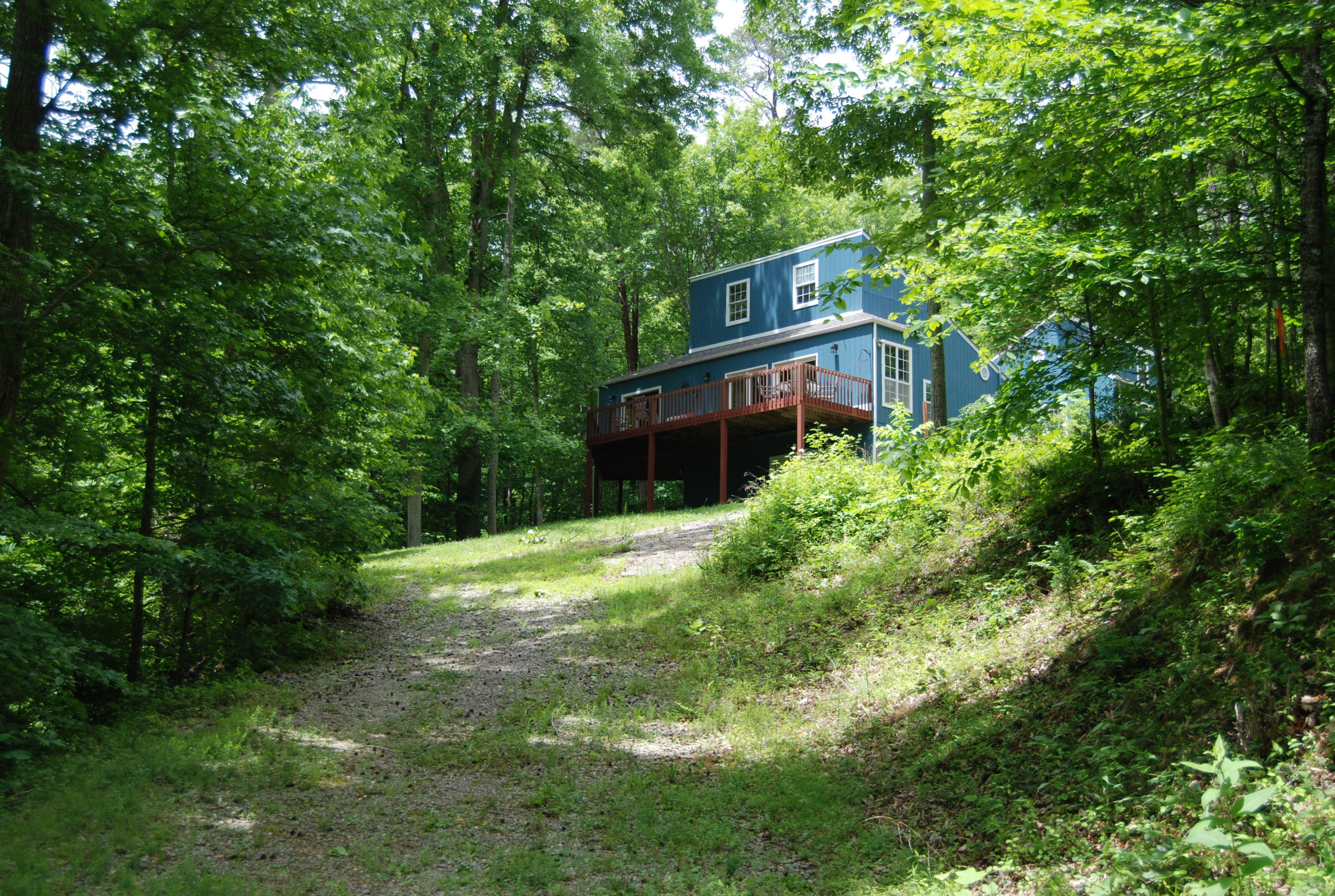 700 Black Fox Harbor Road Washburn, TN 37888 - Photo 9 of 31 DSC_0398
