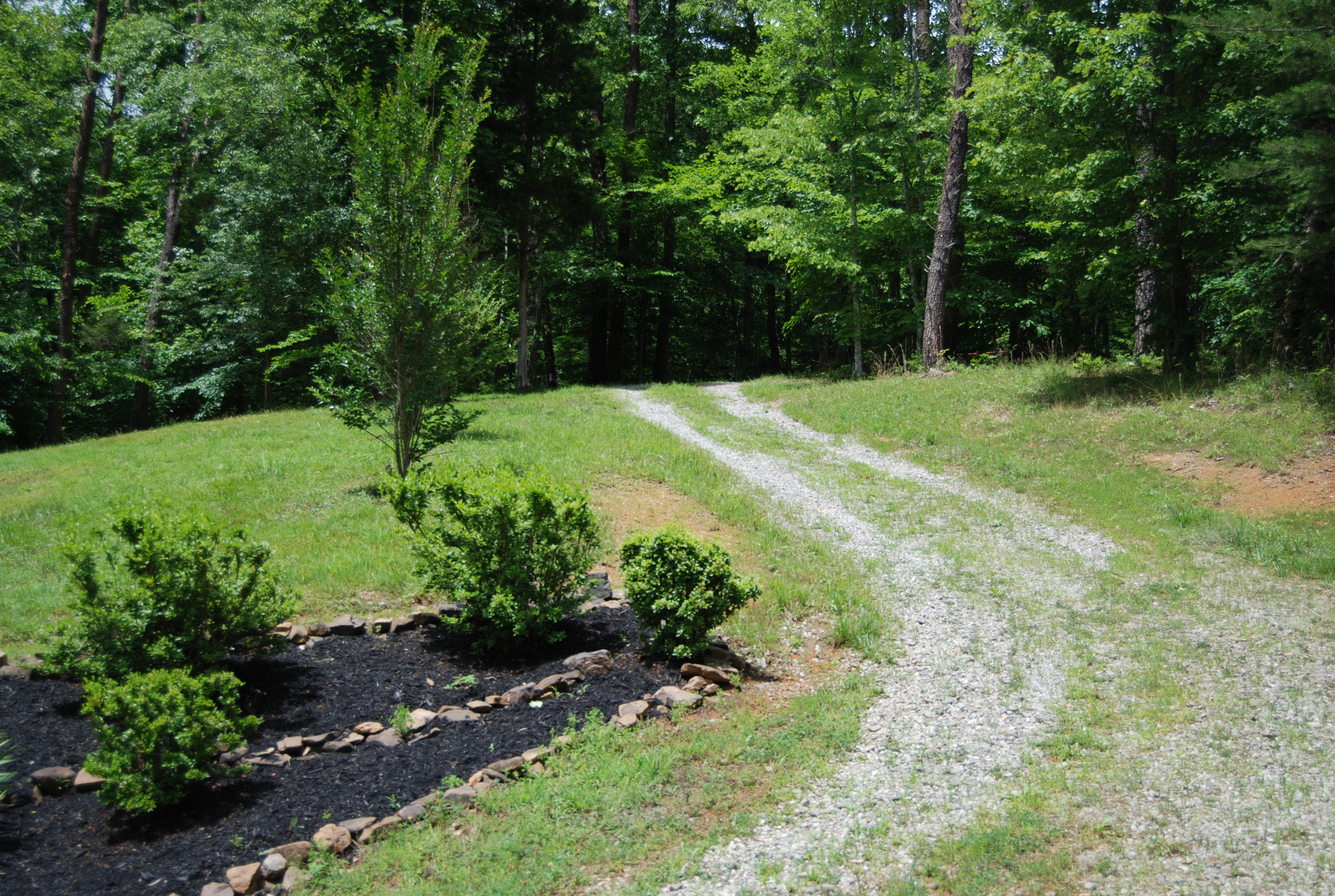 700 Black Fox Harbor Road Washburn, TN 37888 - Photo 10 of 31 DSC_0400