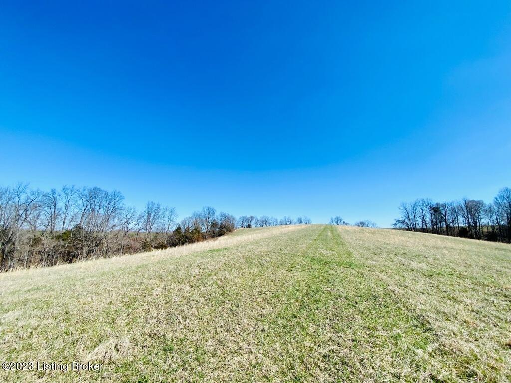 1945 Long Run Road Springfield, KY 40069 - Photo 38 of 81 IMG_2491