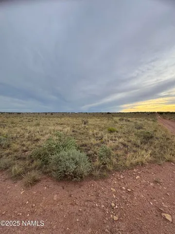a view of an ocean beach
