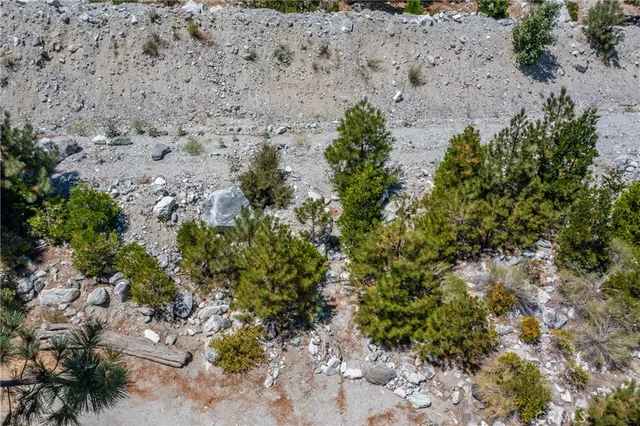 a view of a plants with lots of bushes